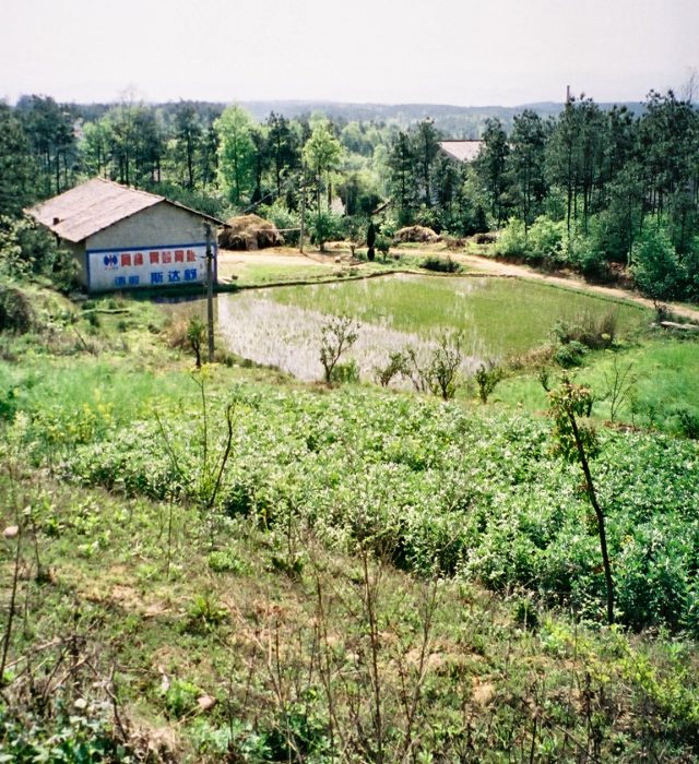 065 - Yangzi - Farm scene near Yichang airport.jpg