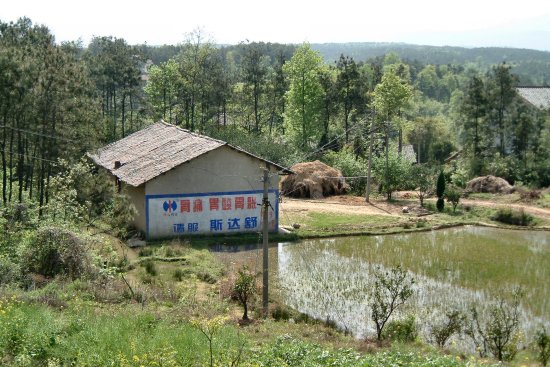 43 - Farm scene near Yichang airport.jpg